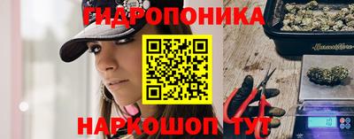 сатива Бузулук