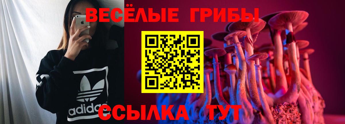 Сорочинск  Псилоцибиновые грибы мухоморы  Галлюциногенные грибы мухоморы  Вход с VPN 